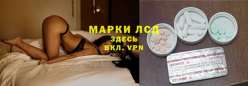 как найти закладки  Губаха  omg зеркало  Лсд 25 экстази ecstasy 